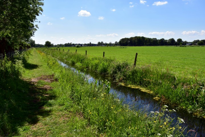 Plantation Drainage Solution