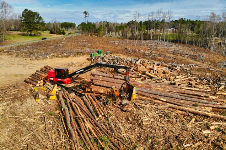 Storm Cleanup and Recovery