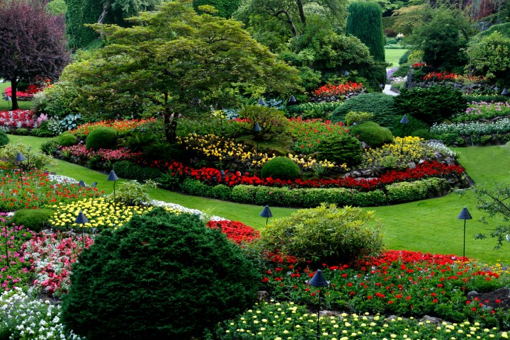 SaS Broward Landscaping Construction