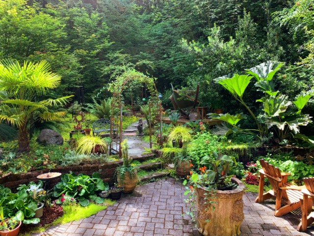 SaS Broward Landscaping Projects