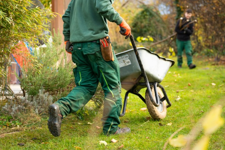 Preparing Your South Florida Landscape for Hurricane Season