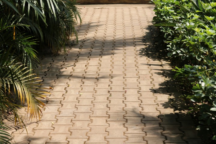 Hardscaping vs. Softscaping: Finding the Perfect Balance