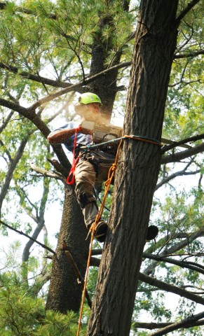 Storm Cleanup and Recovery: Getting Your Property Back to Beautiful